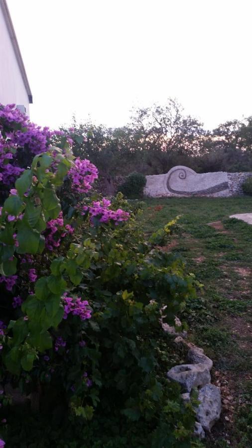 Tenuta Patruno Perniola Джоя-дель-Колле Екстер'єр фото
